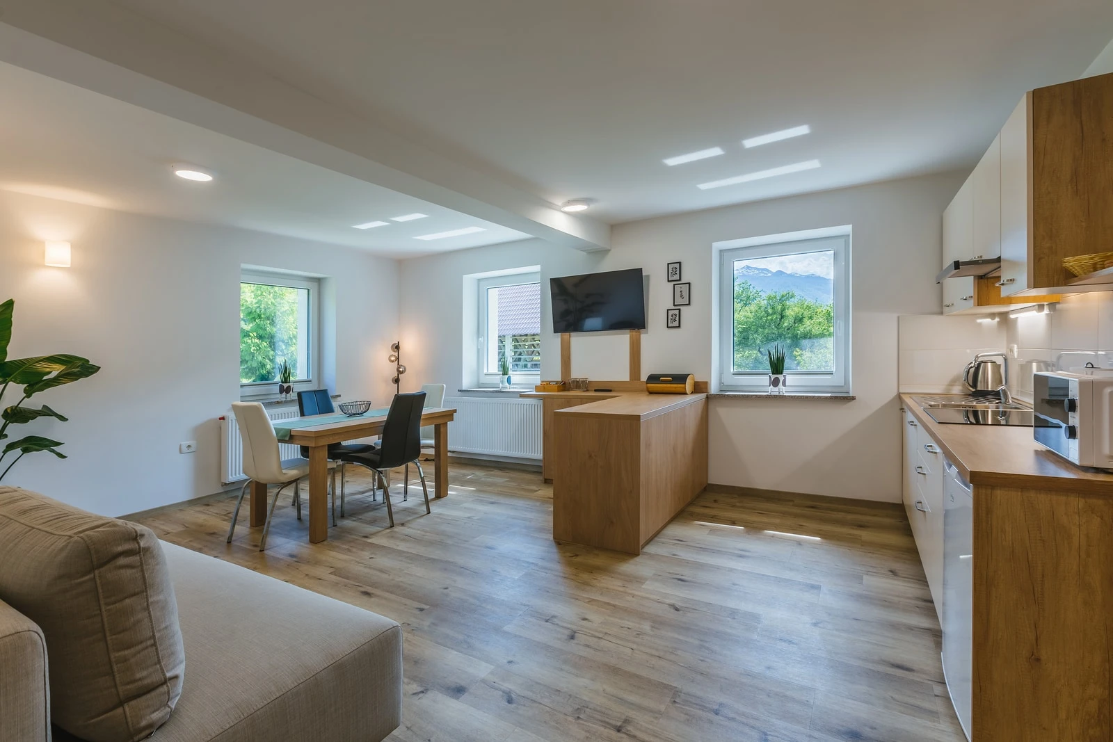 Large One-Bedroom Apartment