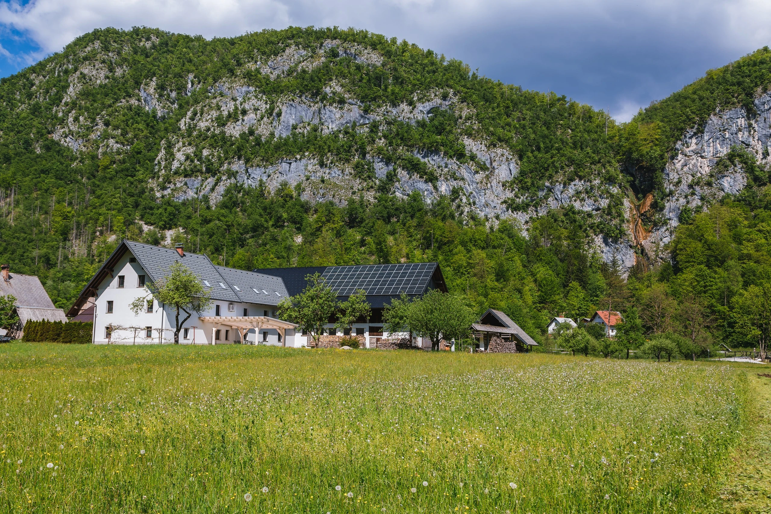 Homestead Log v Bohinju