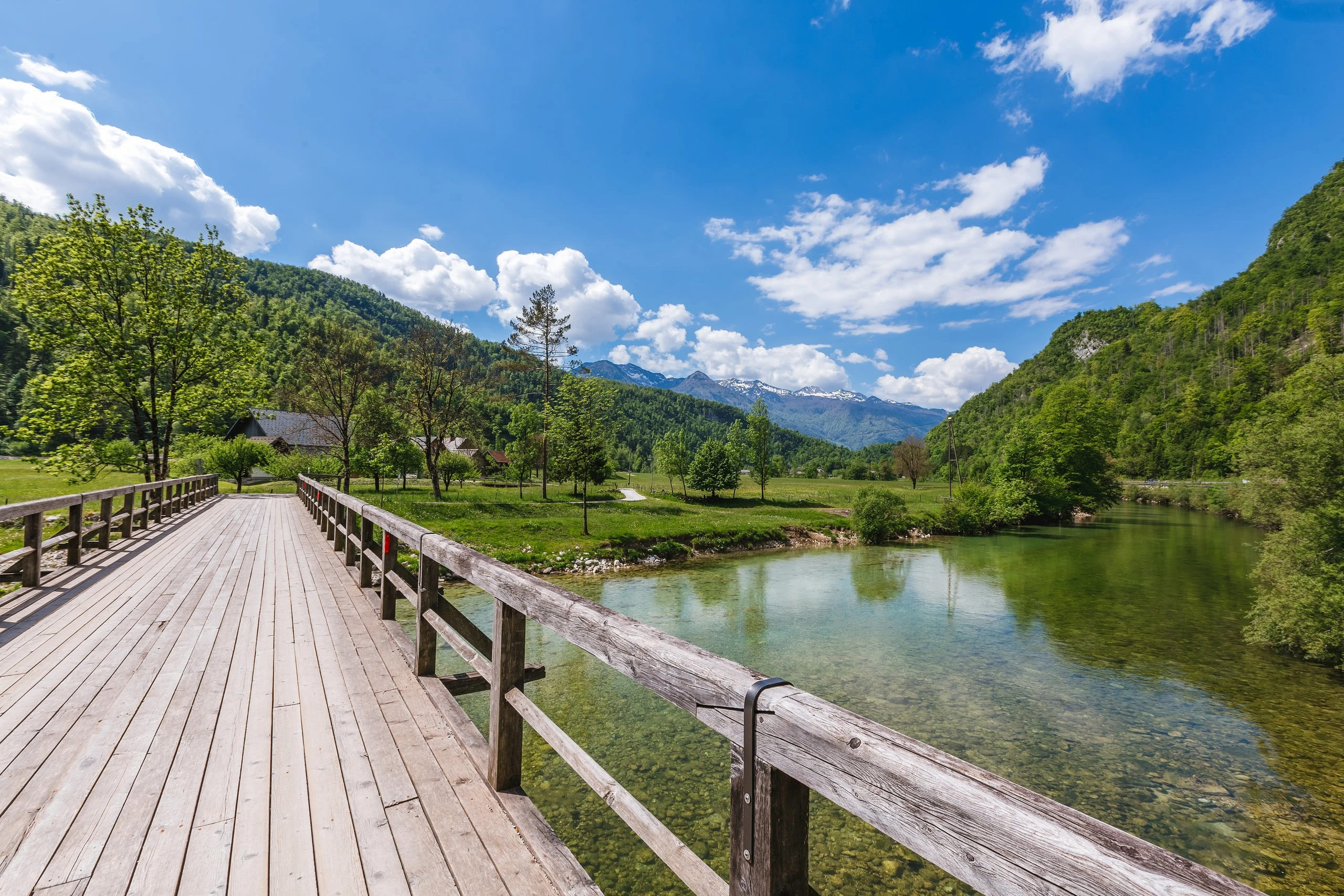 A peaceful escape by the river and forest