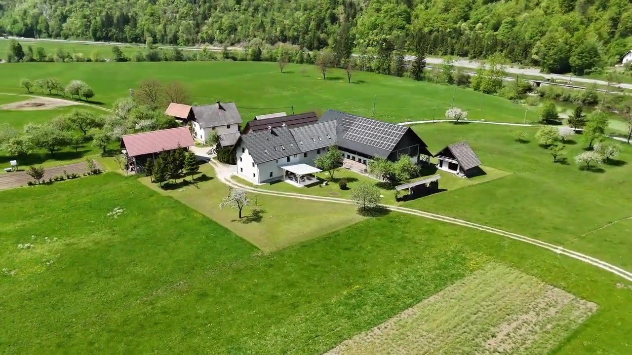Homestead Log – aerial view